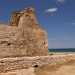 Lultima torre ancora esistente in terra di Bari si trova a Capitolo, frazione  sud di Monopoli. E Torre Cintola, in realt parzialmente distrutta ma non per questo priva di fascino. Il lato che si affaccia sulla costa  quello meglio conservato e ci permette comunque di immaginare la semplice ma imponente struttura originaria, gli altri lati invece sono quasi del tutto crollati
